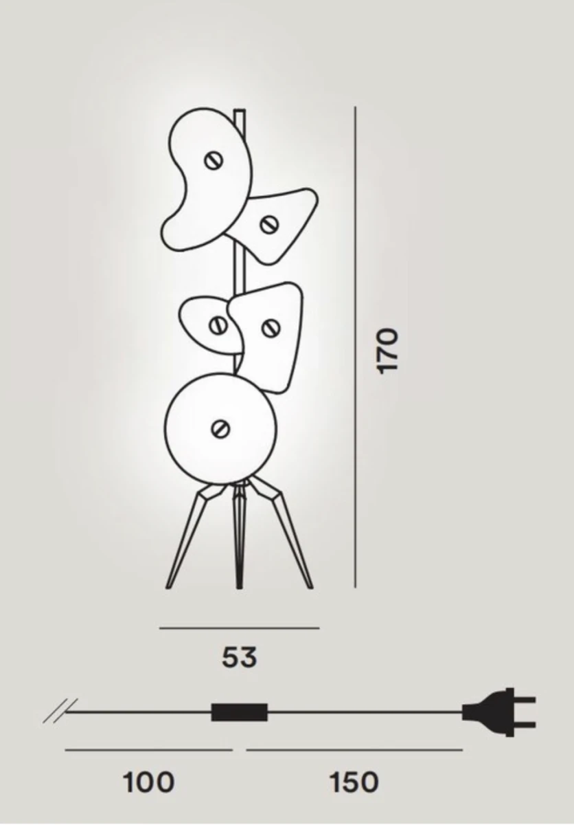 6-19